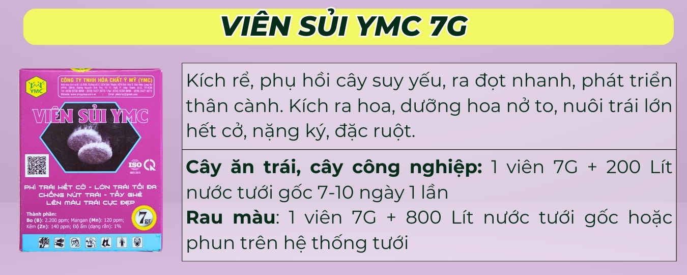 BÓN GỐC CHO CÂY ĂN QUẢ ĐÚNG CÁCH & TIẾT KIỆM
