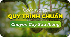 https://nongduockhang.com/bo-quy-chuan/cay-sau-rieng
