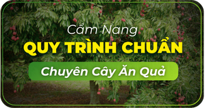 https://nongduockhang.com/bo-quy-chuan/cay-an-qua