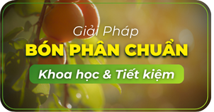 https://nongduockhang.com/cay-an-qua